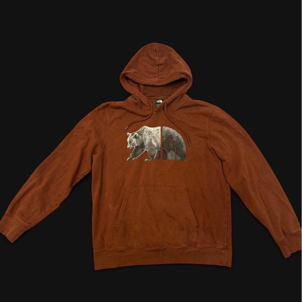 The North Face Men's Bear Graphic Logo Pullover Hoodie – Brown (Size Large)